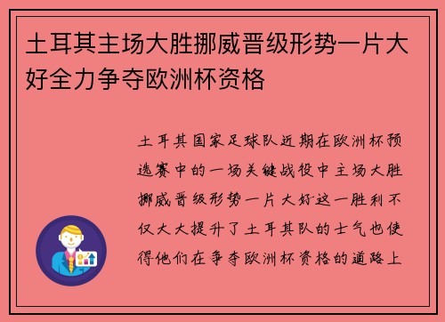 土耳其主场大胜挪威晋级形势一片大好全力争夺欧洲杯资格