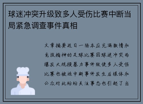 球迷冲突升级致多人受伤比赛中断当局紧急调查事件真相