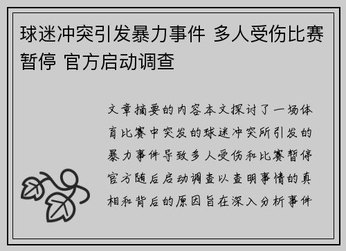 球迷冲突引发暴力事件 多人受伤比赛暂停 官方启动调查